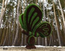 Топиари бабочка Какао - газон Eco Топиари бабочка Какао - газон Eco