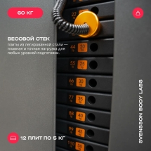 Силовой комплекс полукоммерческий SVENSSON BODY LABS RIGEL PRO