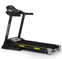 Беговая дорожка Diamond Fitness Radio 60 PRO Беговая дорожка Diamond Fitness Radio 60 PRO