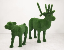 Топиари композиция олени Норди с малышом Томом - газон Deluxe Green