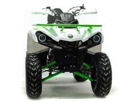 Квадроцикл MOTOLAND 200 Shark (2021 Г.), фото 5 Квадроцикл MOTOLAND 200 Shark (2021 Г.), фото 5