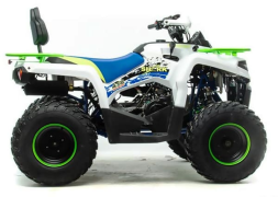 Квадроцикл MOTOLAND 200 Shark (2021 Г.), фото 3 Квадроцикл MOTOLAND 200 Shark (2021 Г.), фото 3