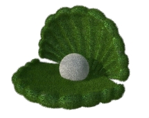 Топиари Ракушка, h=84см - газон Eco Топиари Ракушка, h=84см - газон Eco