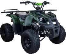 Квадроцикл RAPTOR ATV 200U Lux All 200cc 4Т