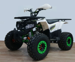 Квадроцикл YACOTA Fusion 125, фото 3