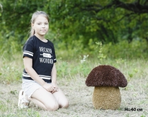 Топиари гриб Подосиновик, h=50 см - газон Eco