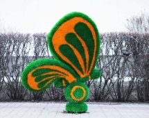 Топиари бабочка Какао Кристина - газон Eco Топиари бабочка Какао Кристина - газон Eco