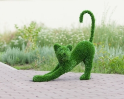 Топиари &quot;Кошка&quot;