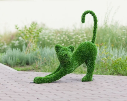 Топиари &quot;Кошка&quot;, фото 1