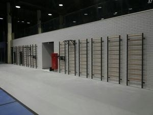 Шведская стенка EffectSport комбинированная Гибрид-ТФ-БП-ДВ антик-серебро, фото 15