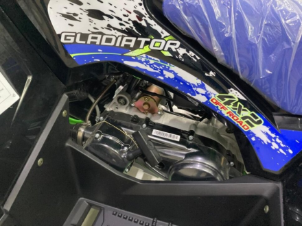 Квадроцикл GLADIATOR F200 Lux, фото 6