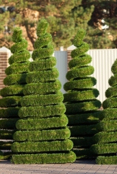 Топиари &quot;Ель с подсветкой 140&quot;