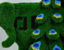 Топиари Павлин на вазоне греческом - газон Есо Топиари Павлин на вазоне греческом - газон Есо