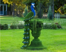 Топиари Павлин на вазоне греческом - газон Есо Топиари Павлин на вазоне греческом - газон Есо