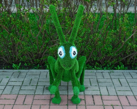 Топиари кузнечик Рики - газон Eco, фото 3