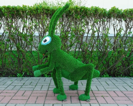 Топиари кузнечик Рики - газон Eco, фото 1