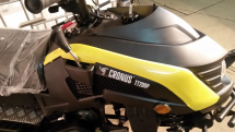 Снегоход CRONUS TT200P
