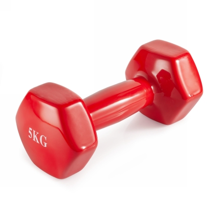 Гантель неразборная  5 кг винил, фото 1