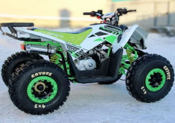 Квадроцикл MOTOLAND 125 Coyote (2021 Г.), фото 9 Квадроцикл MOTOLAND 125 Coyote (2021 Г.), фото 9