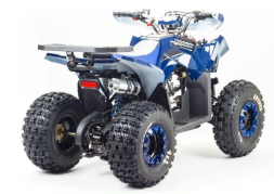 Квадроцикл MOTOLAND 125 Coyote (2021 Г.), фото 7 Квадроцикл MOTOLAND 125 Coyote (2021 Г.), фото 7