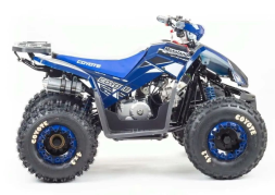 Квадроцикл MOTOLAND 125 Coyote (2021 Г.), фото 6 Квадроцикл MOTOLAND 125 Coyote (2021 Г.), фото 6