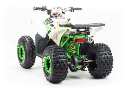 Квадроцикл MOTOLAND 125 Coyote (2021 Г.), фото 5 Квадроцикл MOTOLAND 125 Coyote (2021 Г.), фото 5