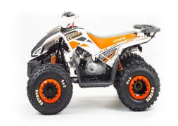 Квадроцикл MOTOLAND 125 Coyote (2021 Г.), фото 3 Квадроцикл MOTOLAND 125 Coyote (2021 Г.), фото 3