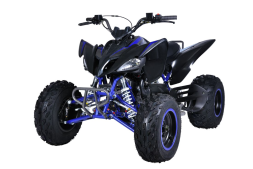 Квадроцикл MIKILON Rapide 200 EFI, фото 2