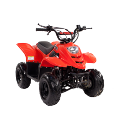 Квадроцикл IRBIS Dingo 50s, фото 2