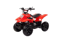 Квадроцикл IRBIS Dingo 50s