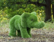 Топиари слон Кроха - газон Premium Топиари слон Кроха - газон Premium