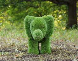 Топиари слон Кроха - газон Premium, фото 2