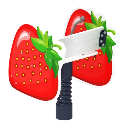 Клубника - Качалка на пружине - ИО 22.01.15-И1, фото 2