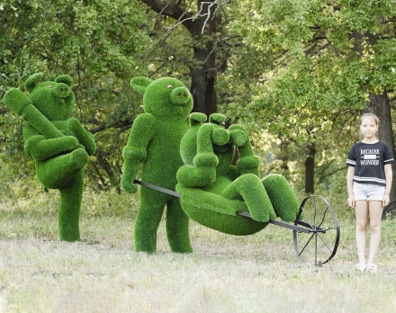 Топиари композиция бригада Хрю - газон Eco, фото 4