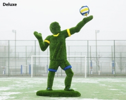 Топиари Волейболист - газон Есо, фото 4