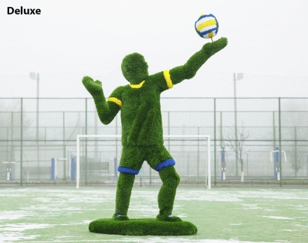 Топиари Волейболист - газон Есо, фото 4