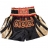 Тайские Шорты Venum ventshorts07