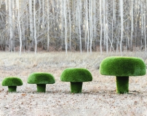 Топиари гриб Сыроежка, размер XL- газон Deluxe