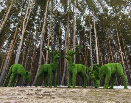 Топиари композиция олени, семья Черничная, 4 шт - газон Eco + Premium, фото 1