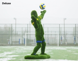 Топиари Волейболист - газон Deluxe, фото 2