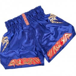 Тайские Шорты Venum ventshorts05, фото 2