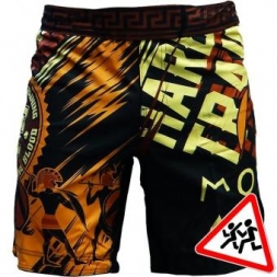 Шорты Hardcore Training hctshorts021