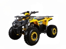 Багги Segway UTV Fugleman UT10 CREW PREMIUM Багги Segway UTV Fugleman UT10 CREW PREMIUM