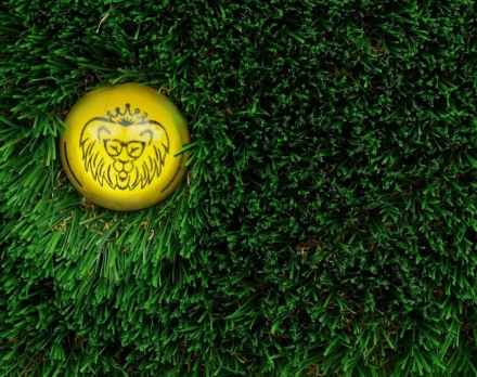 Топиари Композиция гусары - газон Deluxe, фото 3