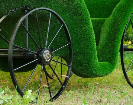 Топиари Карета - газон Deluxe, фото 6