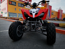 Квадроцикл MOTOLAND 250S Pro