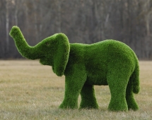 Топиари слоник Антошка - газон Premium Топиари слоник Антошка - газон Premium