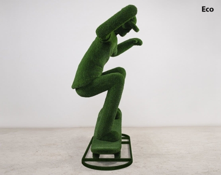 Топиари Скейтер - газон Eco, фото 4