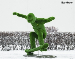 Топиари Скейтер - газон Eco, фото 8
