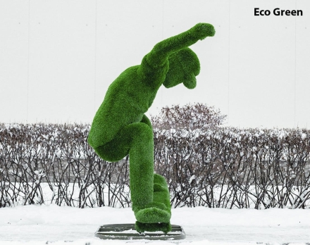 Топиари Скейтер - газон Eco, фото 7